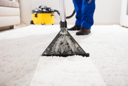 Carpet-Cleaner-Federal-Way-WA